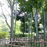 鴨池公園①